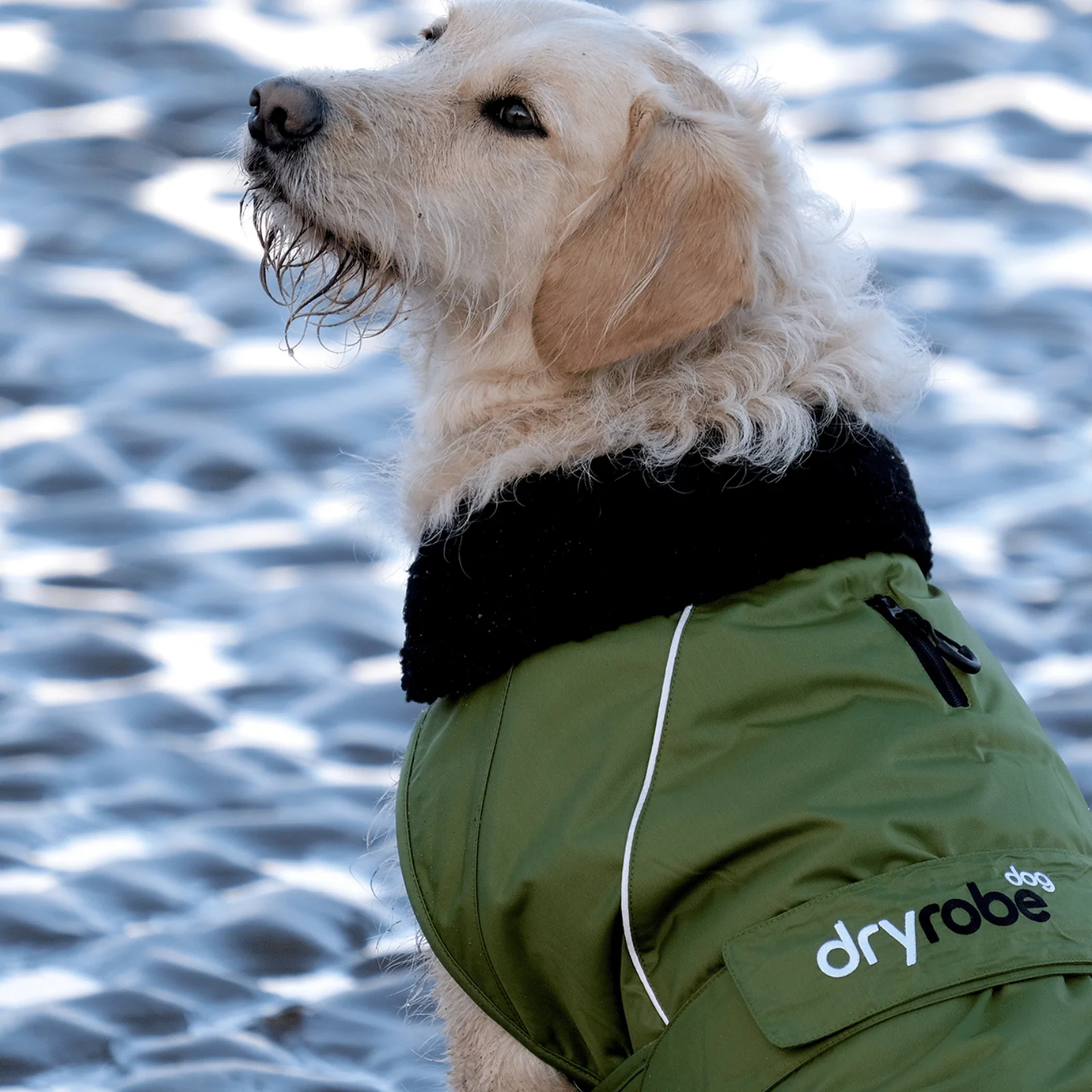dryrobe Dog Robe Coat - Image 47