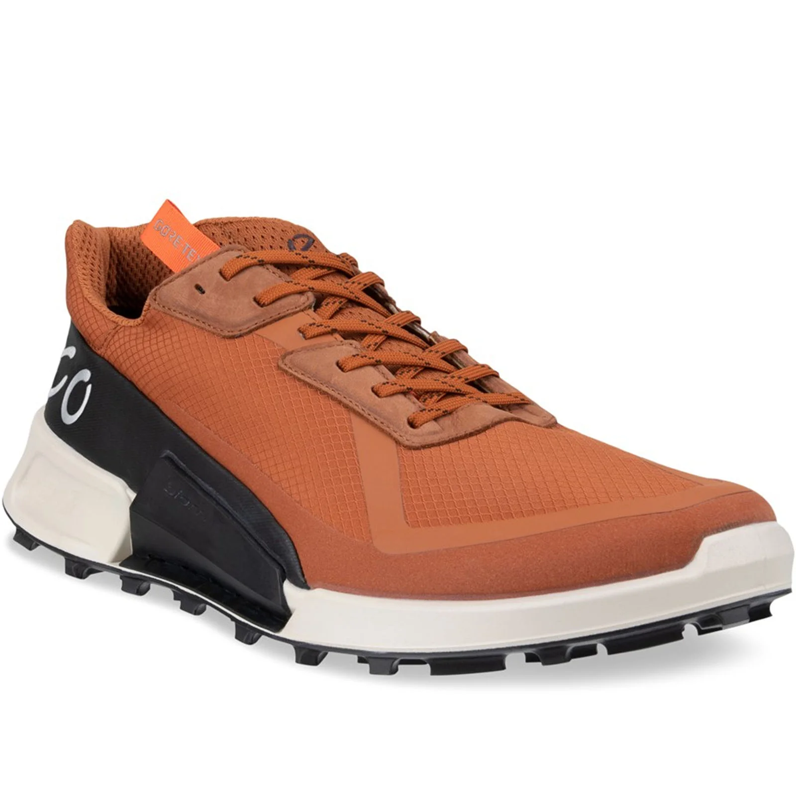 ECCO Mens BIOM 2.1 X Country GORE-TEX Trainers - Image 4