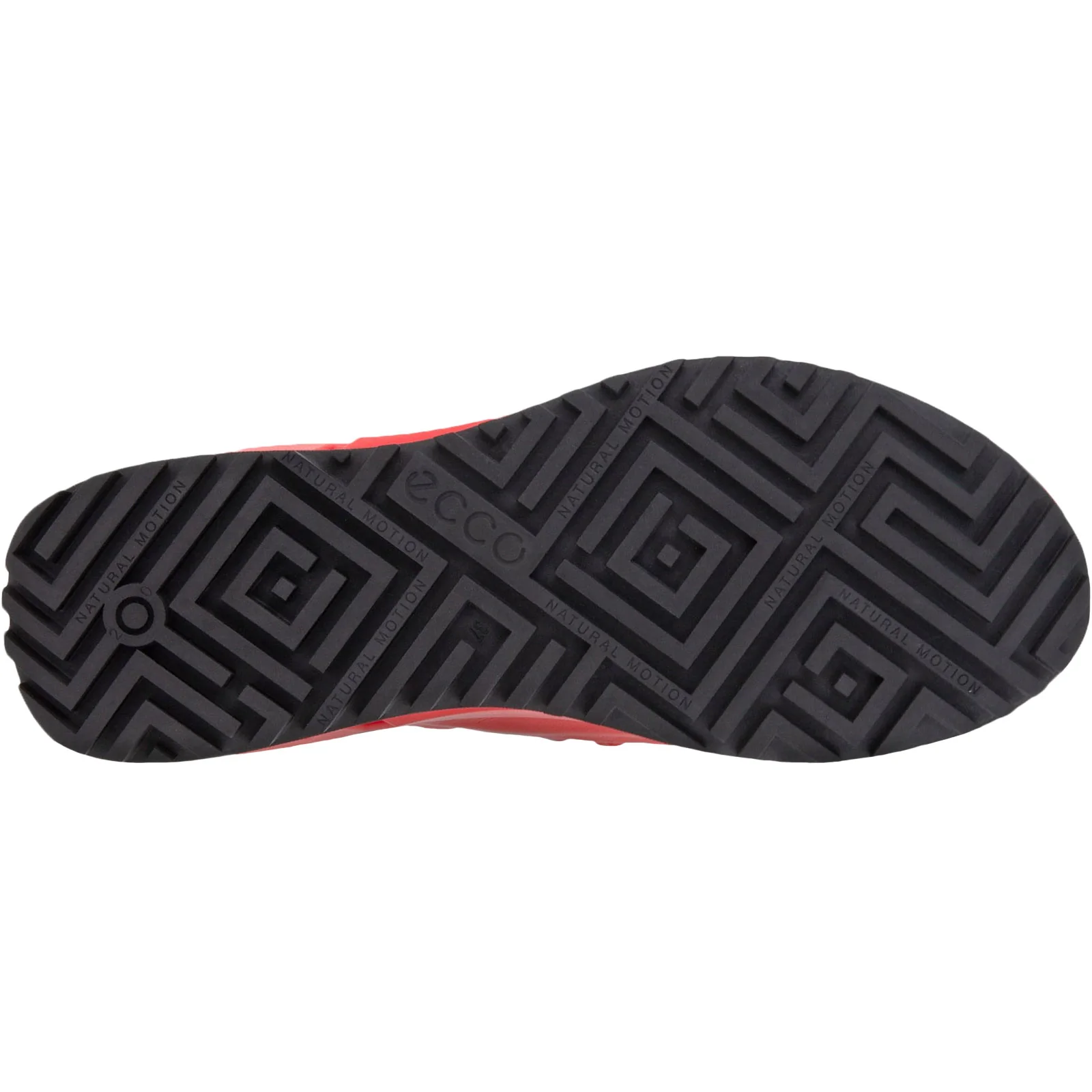 ECCO Womens Biom 2.0 Low Rise Trainers - Image 17
