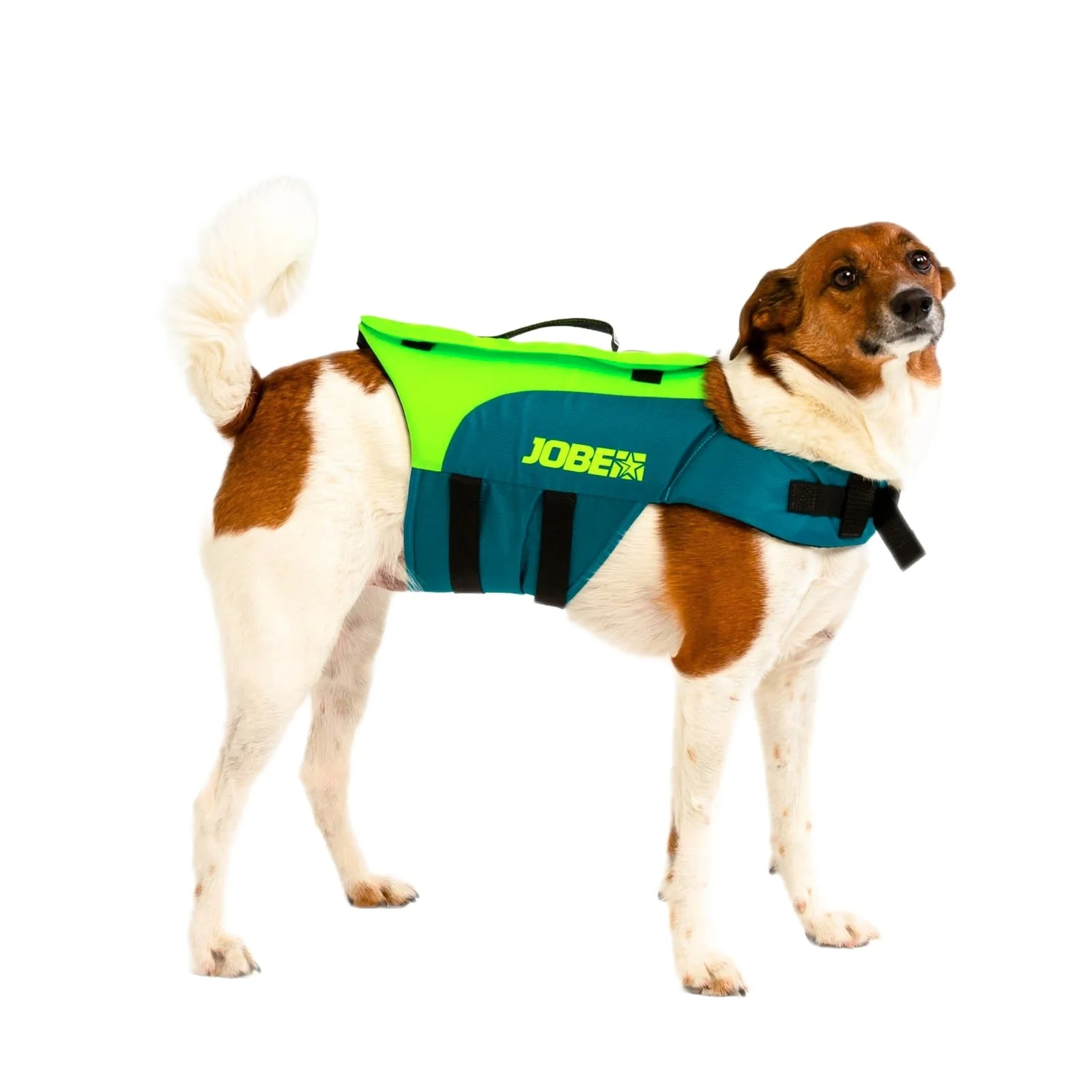 Jobe Pet Vest Dog Vest