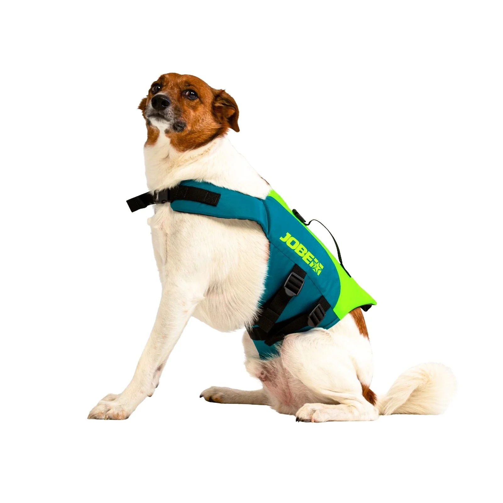 Jobe Pet Vest Dog Vest - Image 2