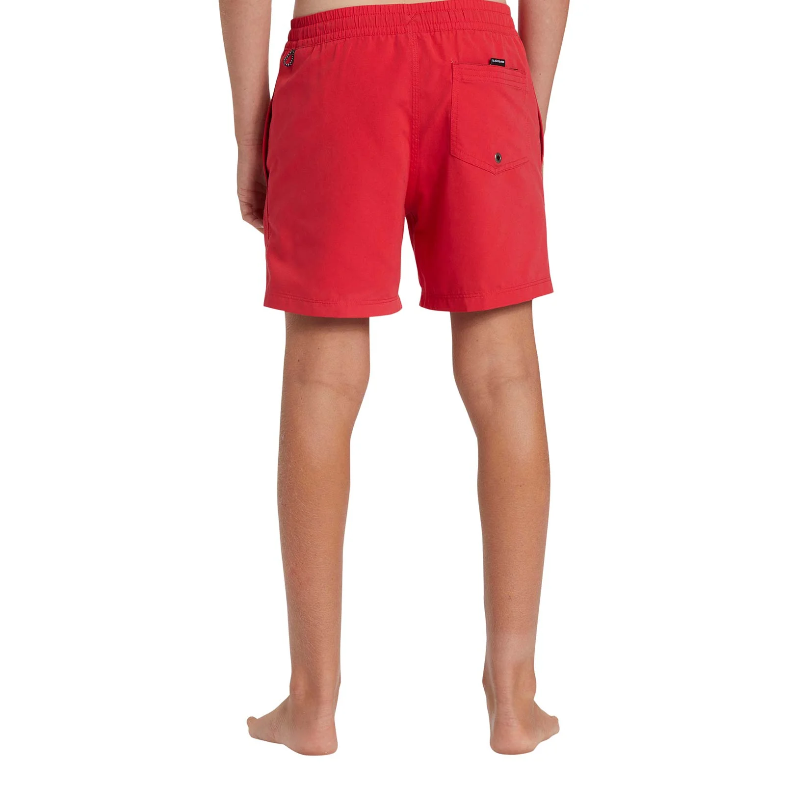 Quiksilver Kids Everyday 14" Swim Shorts - Image 20