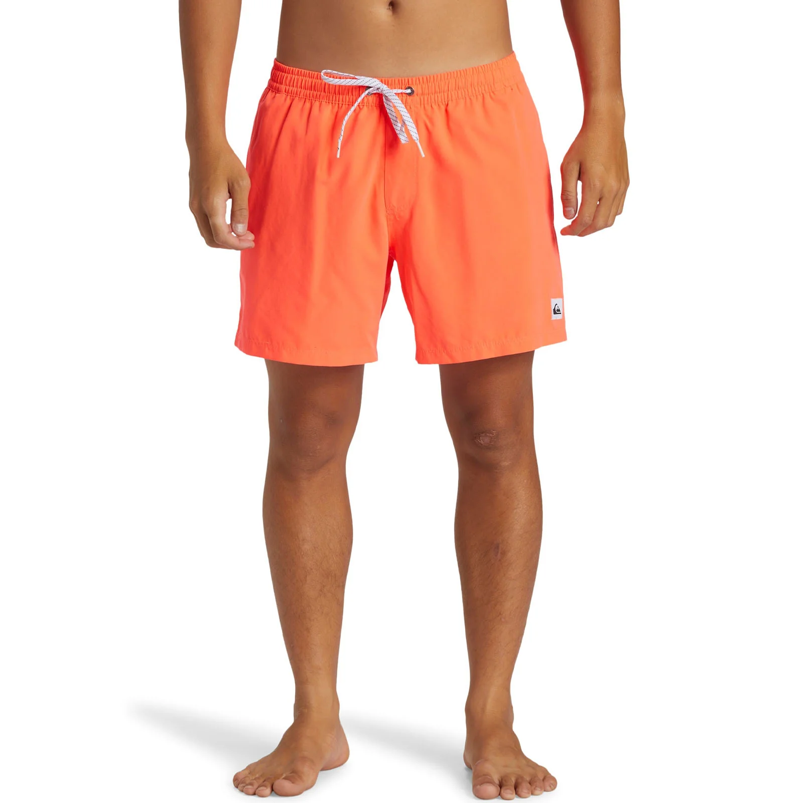 Quiksilver Mens Everyday 15" Swim Shorts - Image 44