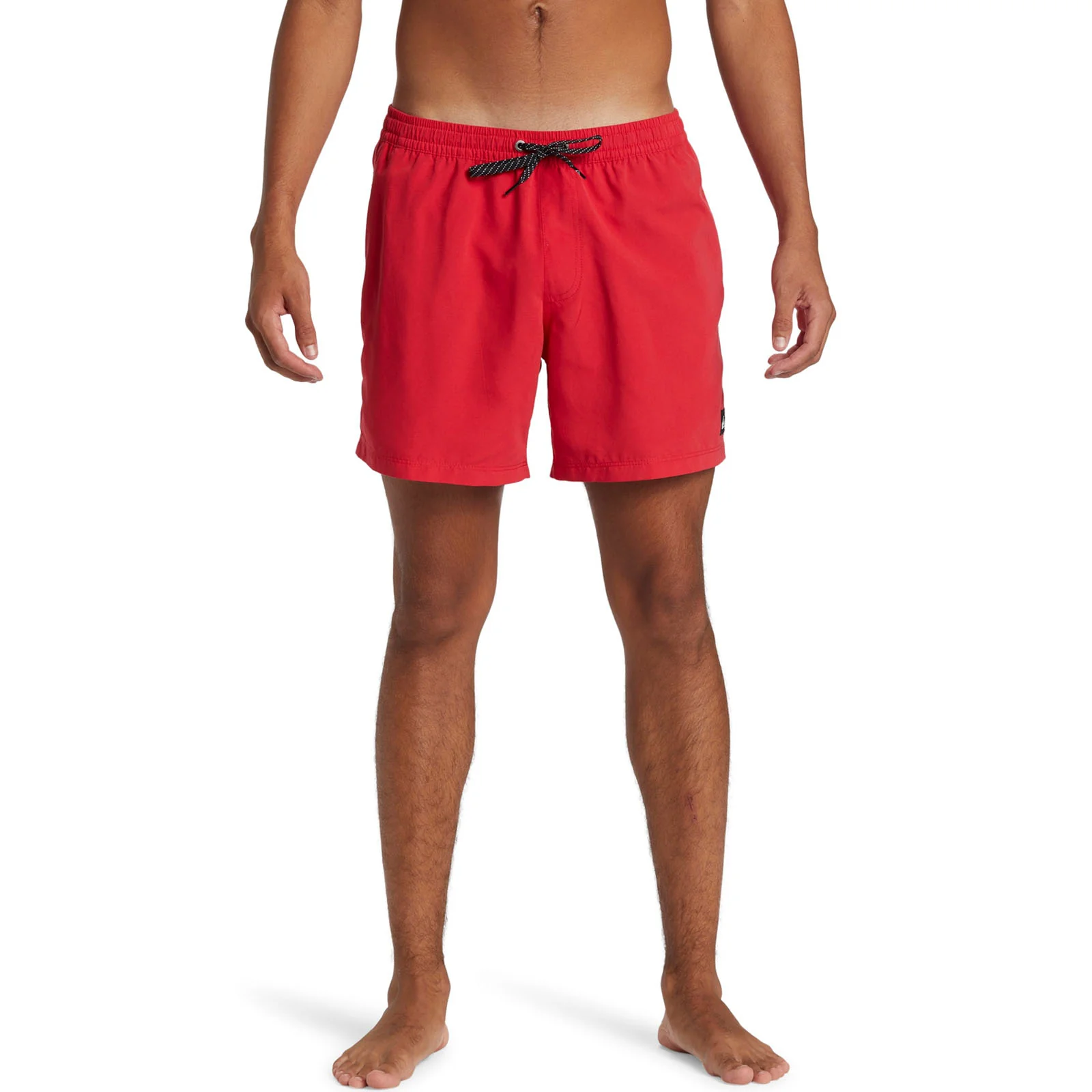 Quiksilver Mens Everyday 15" Swim Shorts - Image 46