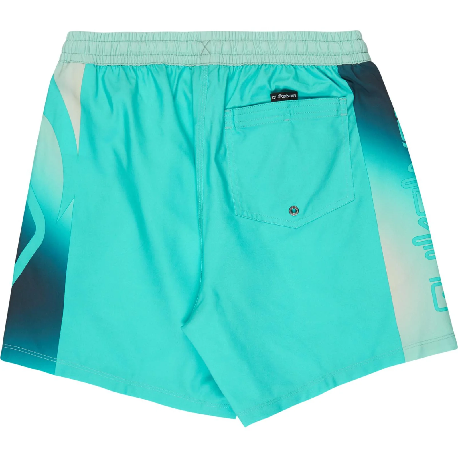 Quiksilver Mens Everyday Holmes Volley 16" Swim Shorts - Image 11