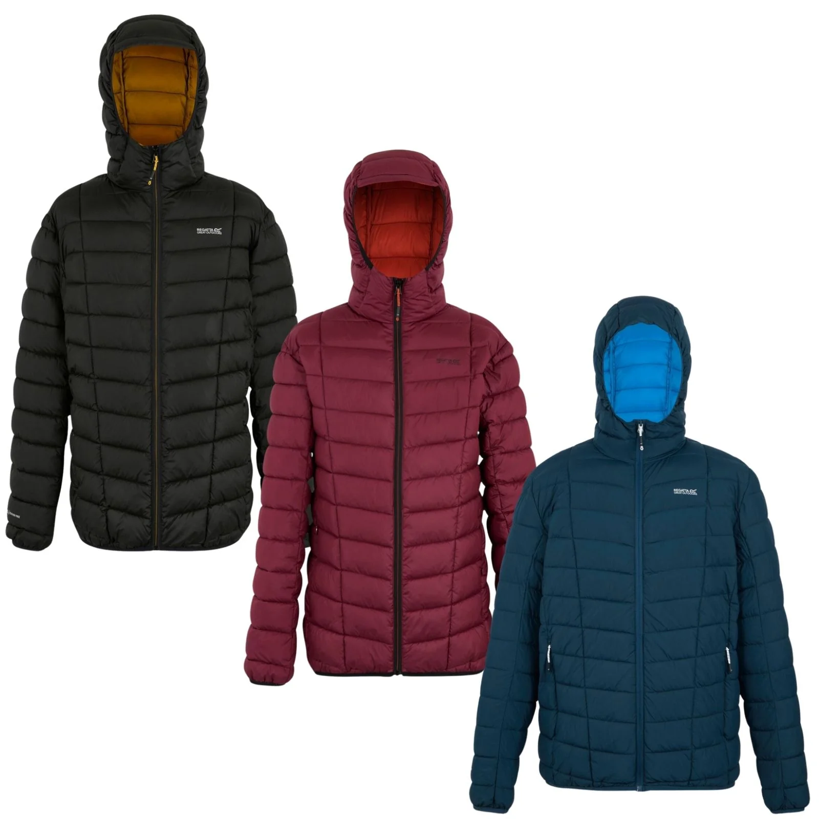 Regatta Mens Asper Water Repellent Hooded Padded Jacket