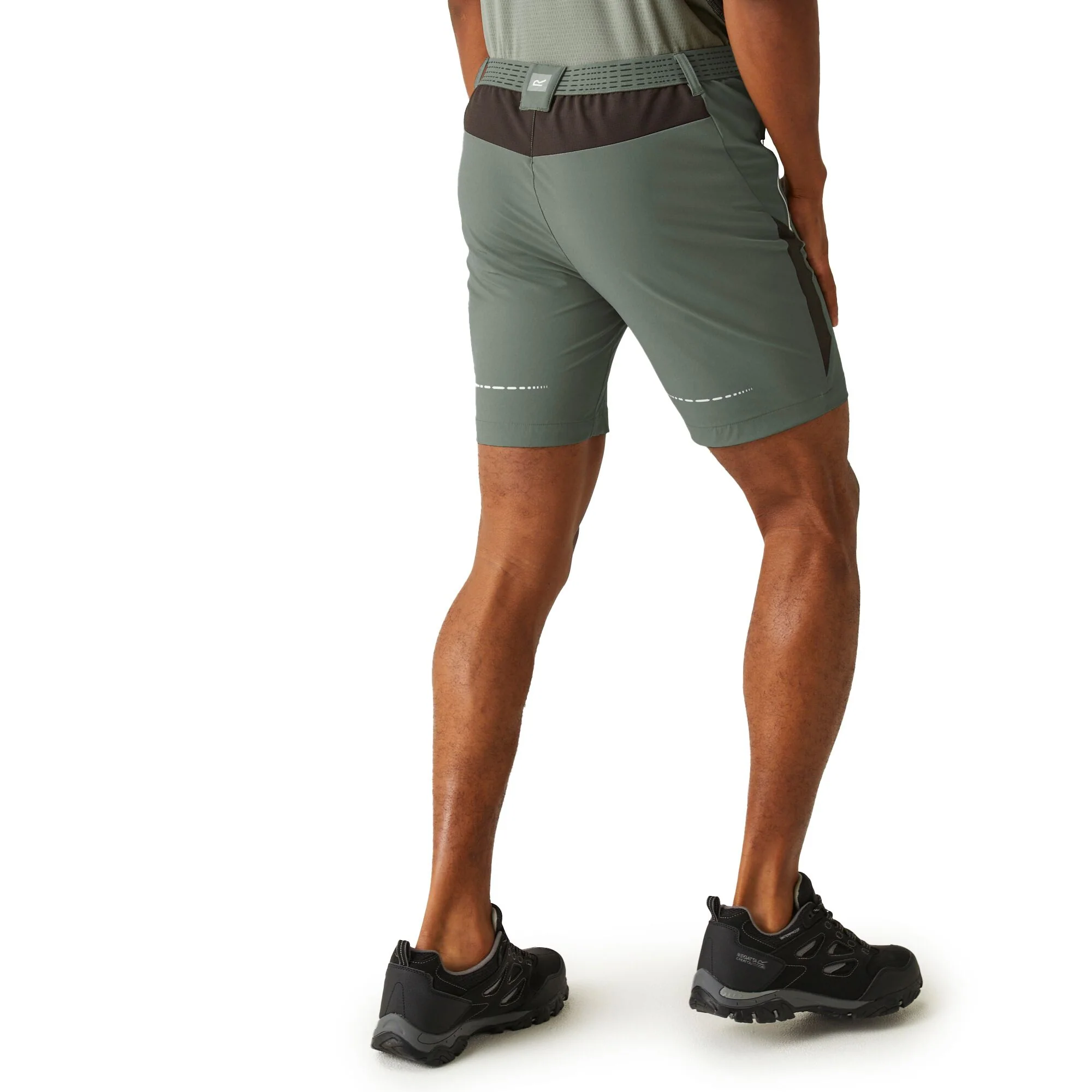 Regatta Mens Mountain II Walking Shorts - Image 15