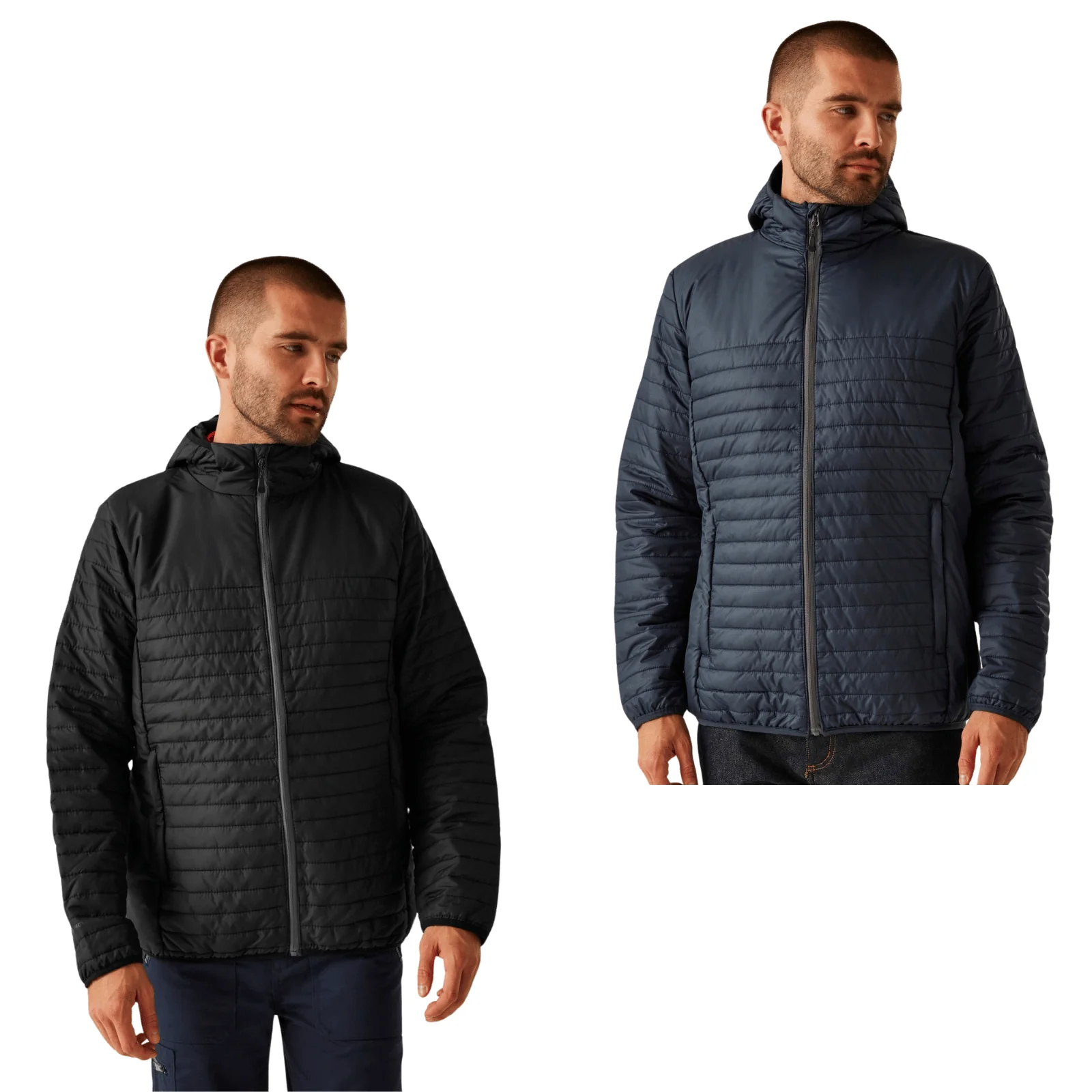 Regatta Professional Mens Honestly Made Thermal Padded Jacket