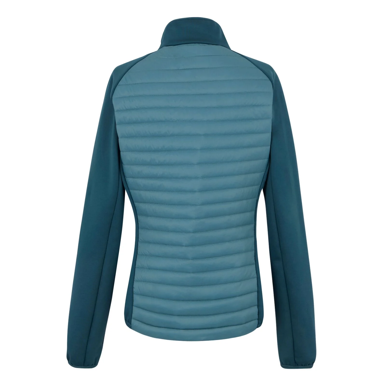 Regatta Womens Clumber Hybrid Padded Jacket - Image 33
