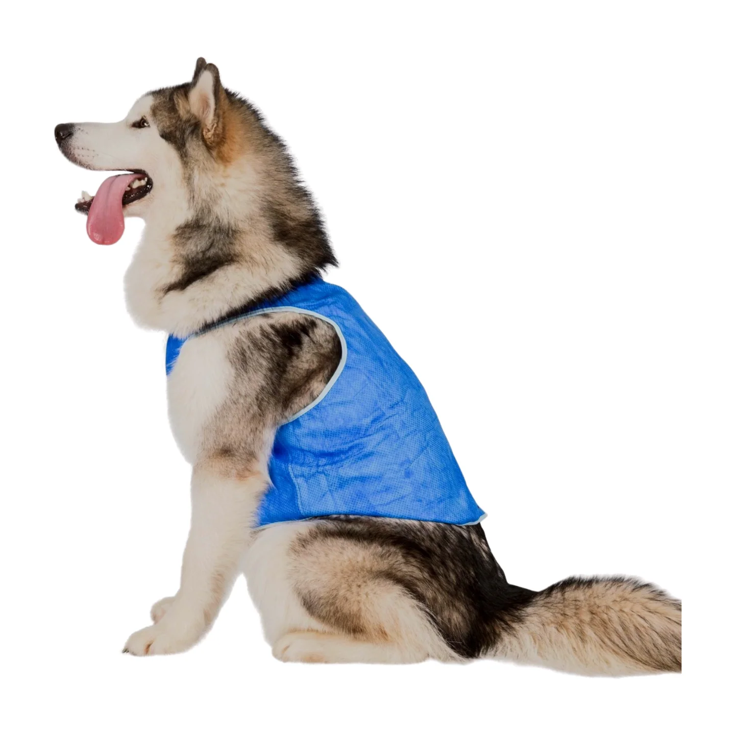 Trespaws Alaska Dog Cooling Vest