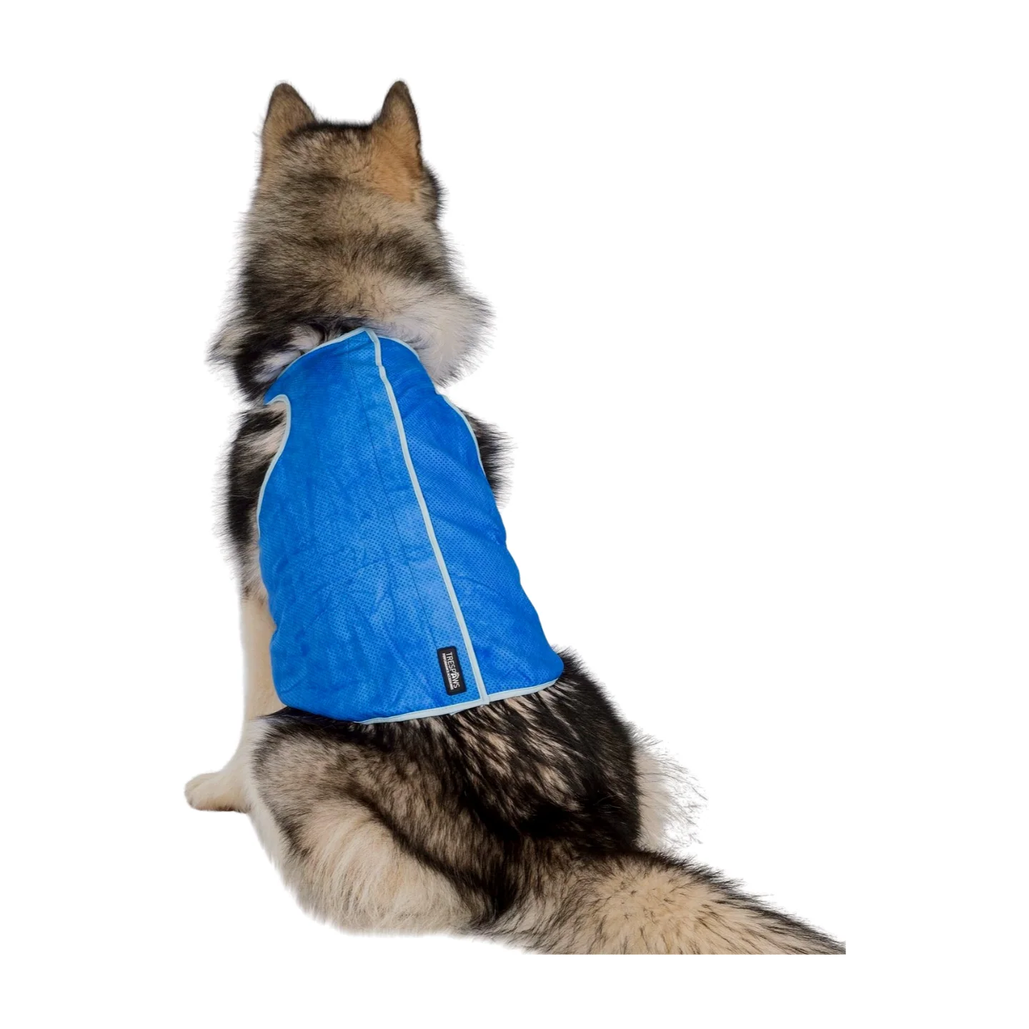 Trespaws Alaska Dog Cooling Vest - Image 2
