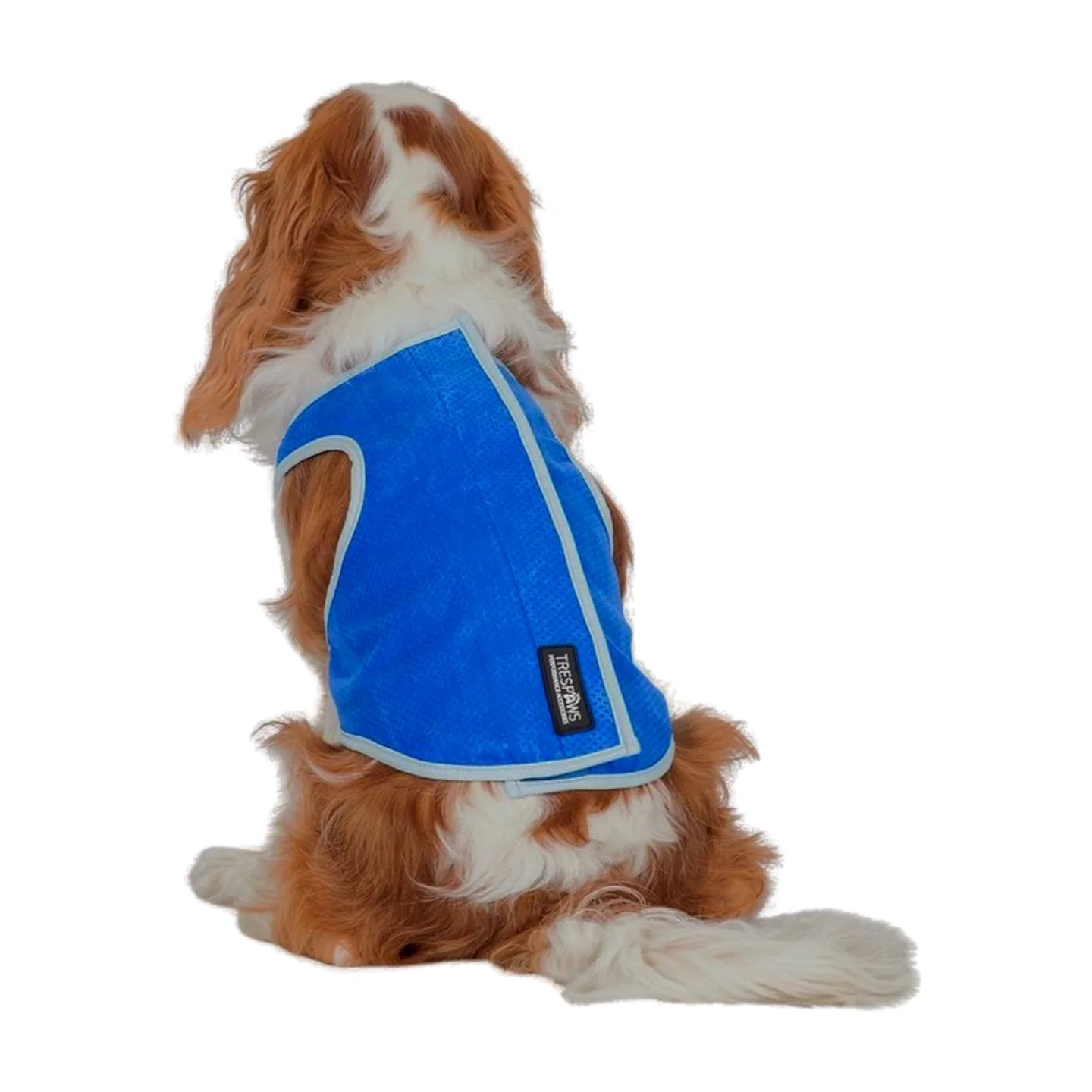 Trespaws Alaska Dog Cooling Vest - Image 4