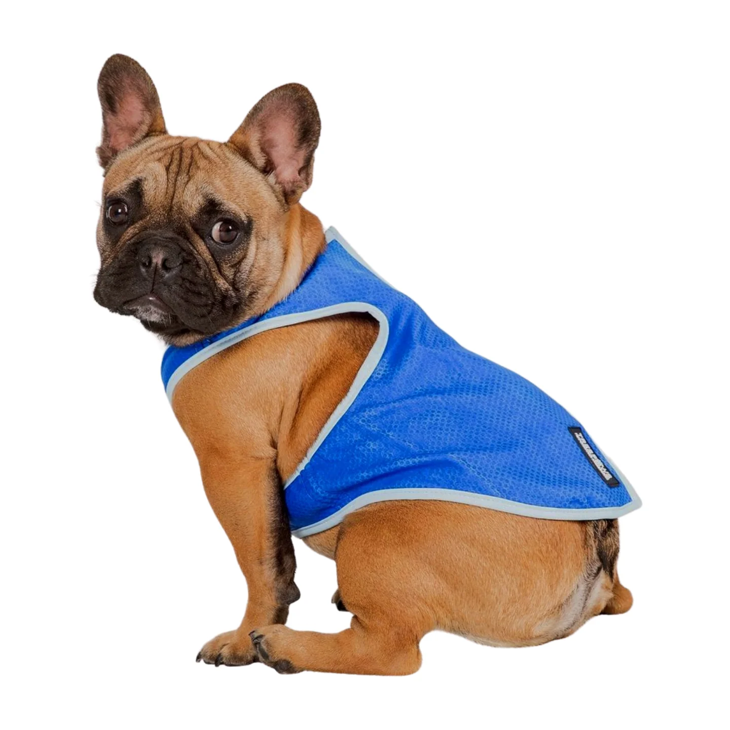 Trespaws Alaska Dog Cooling Vest - Image 8