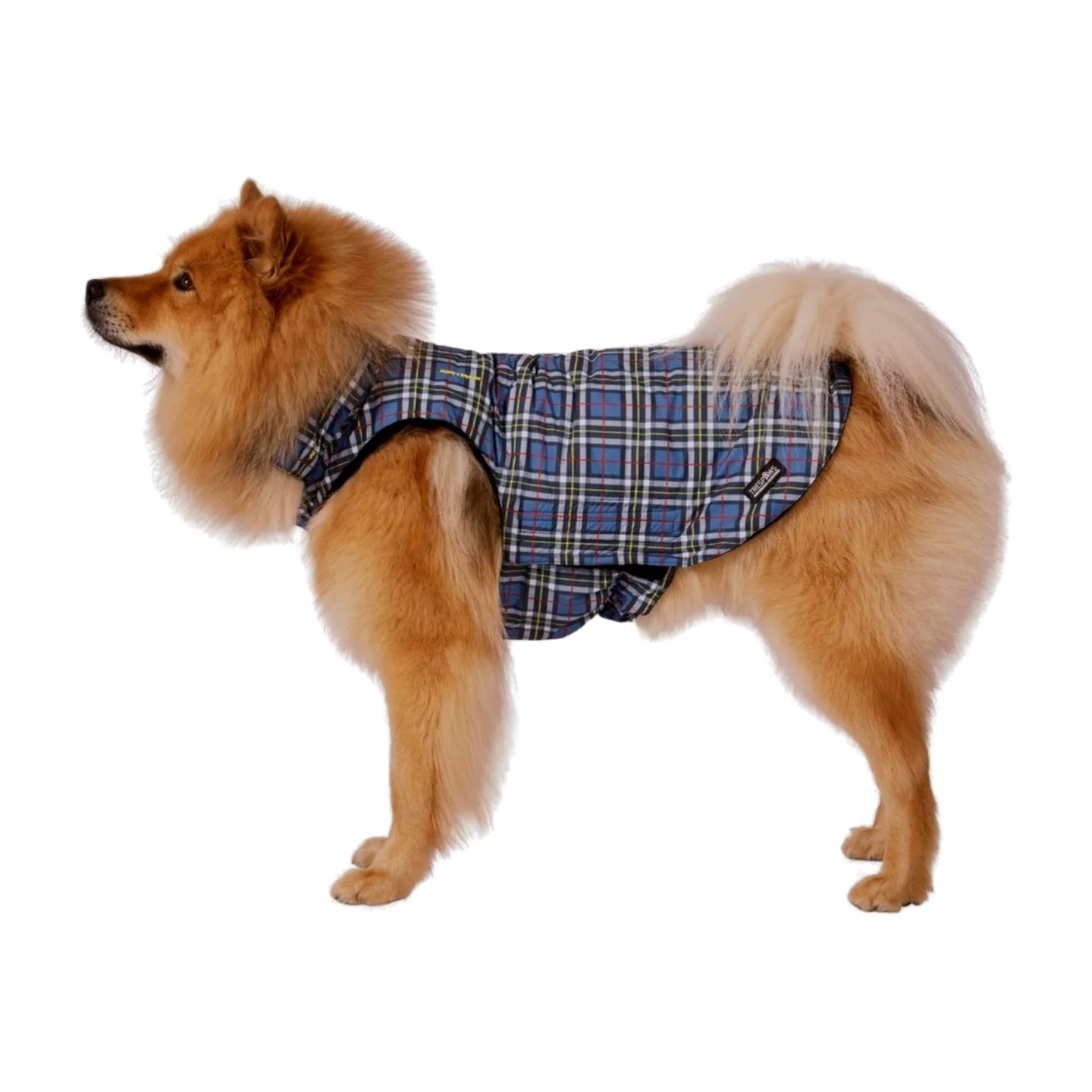 Trespaws Charly Dog Printed Rain Coat