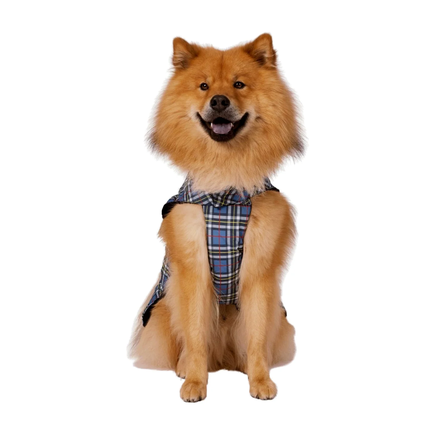 Trespaws Charly Dog Printed Rain Coat - Image 2