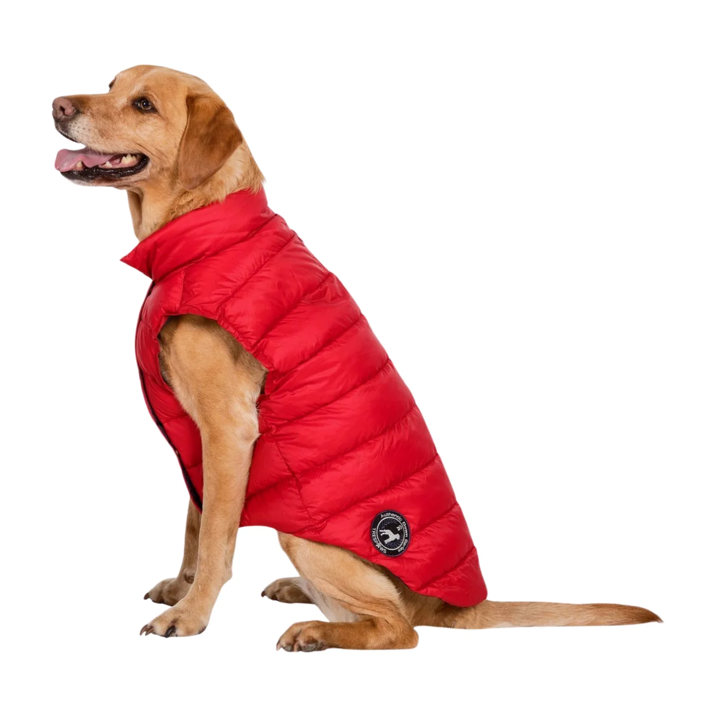 Trespaws Dogby Dog Down Jacket - Image 3
