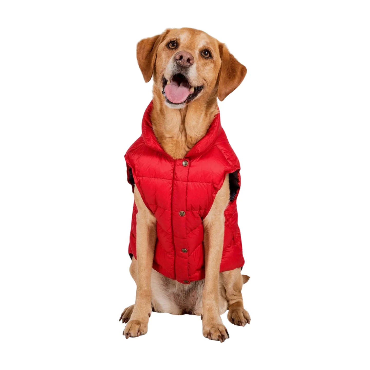 Trespaws Dogby Dog Down Jacket - Image 4