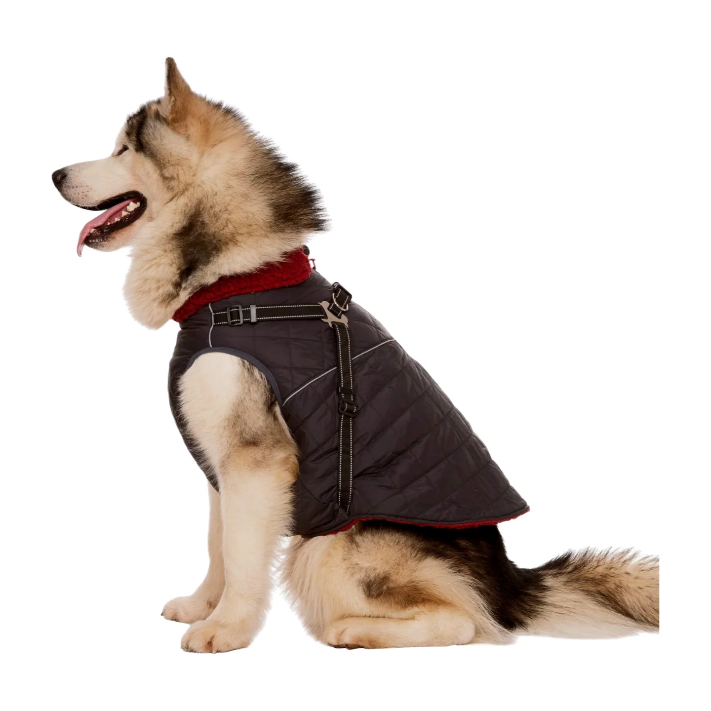Trespaws Hercules 2IN1 Dog Jacket With Harness - Image 8