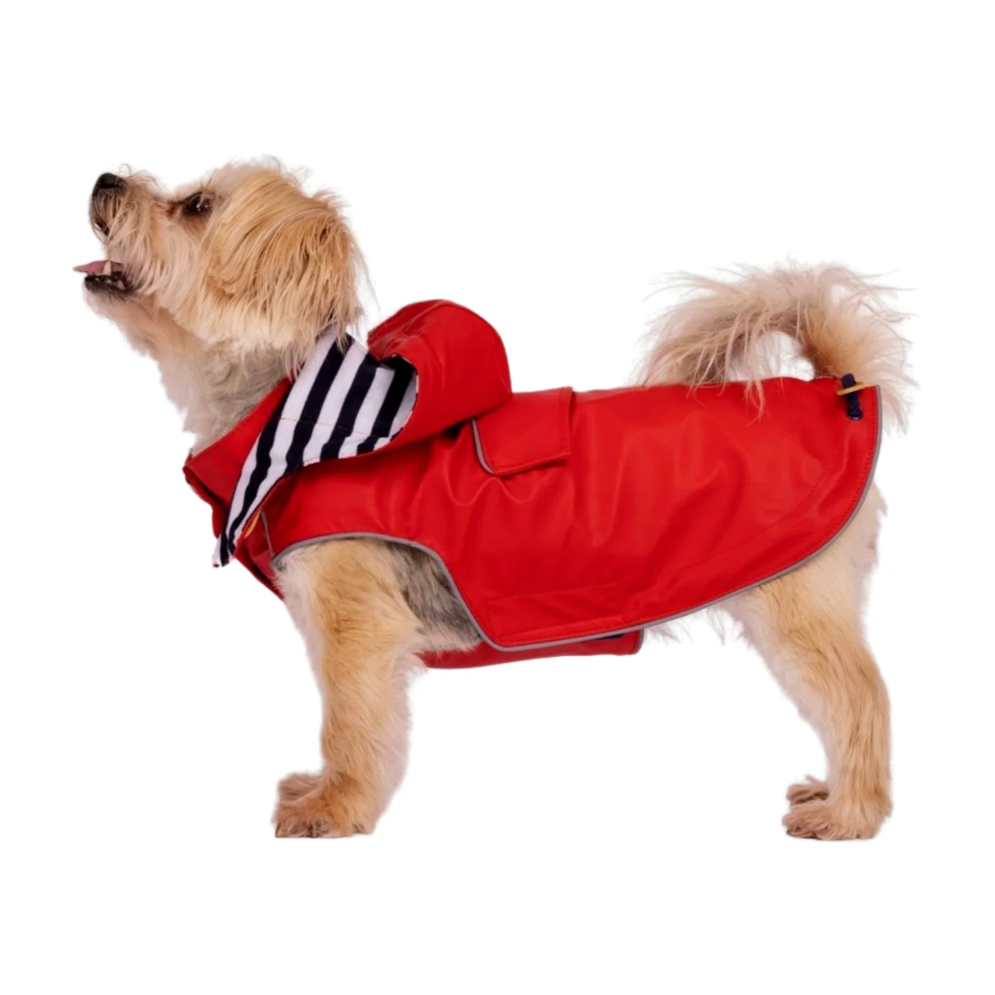 Trespaws Seadog Dog Raincoat - Image 2