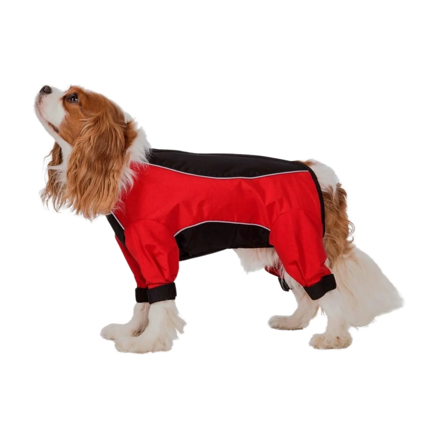 Trespaws Tia Dog Raincoat With Legs - Image 8